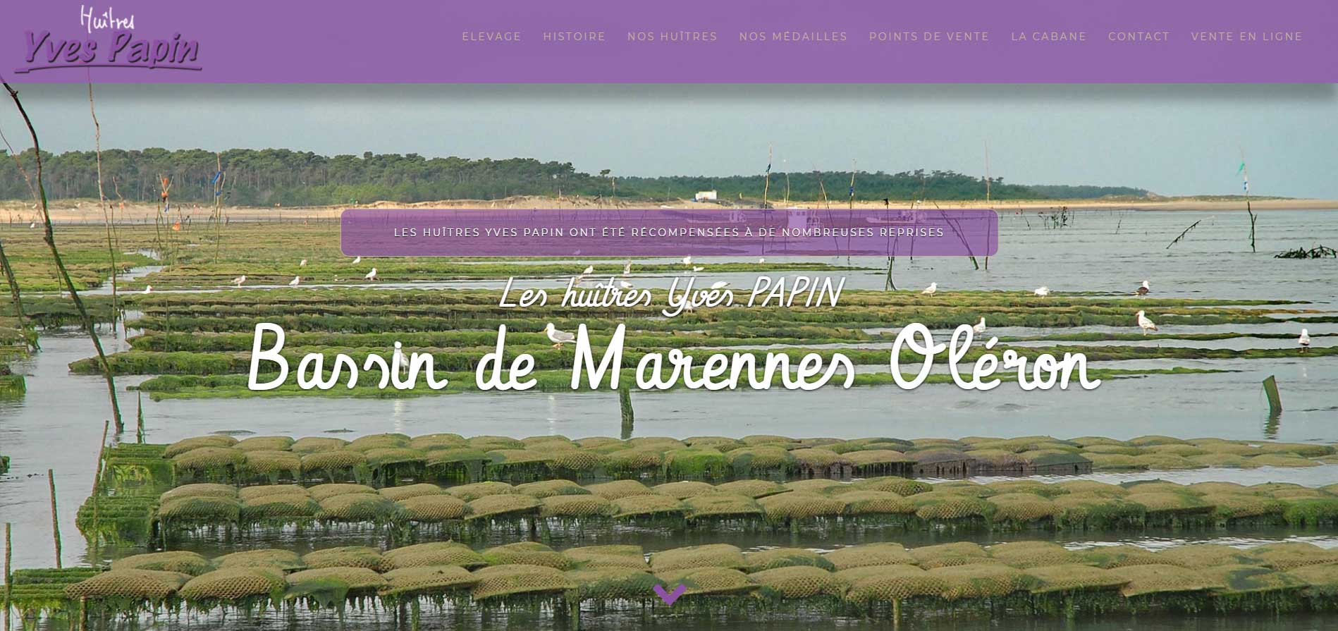Bernezac communication création site internet vitrine classique responsive adapté aux mobiles et tablettes charente maritime nouvelle aquitaine